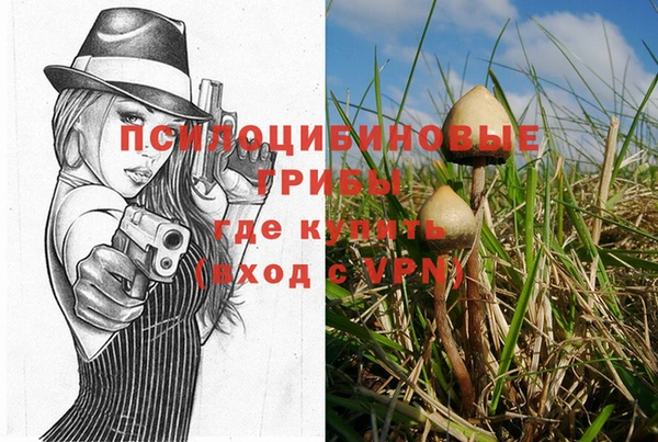кристаллы Ельня