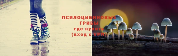 2c-b Елабуга