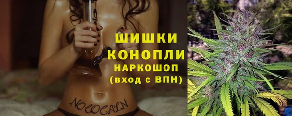 2c-b Елабуга