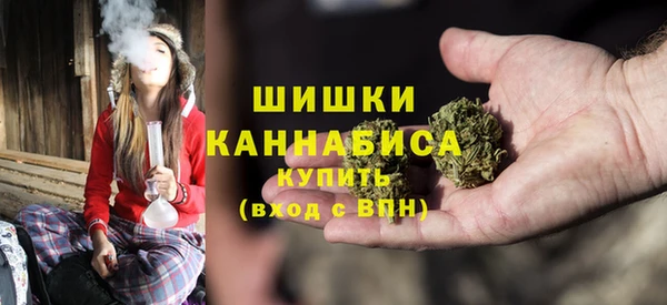 дмт Елизово