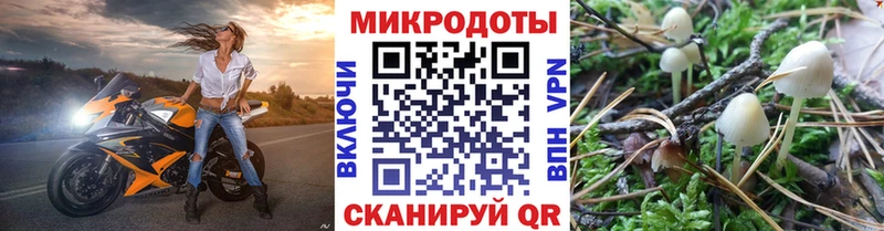 Купить  Красноармейск  Псилоцибиновые грибы Cubensis 