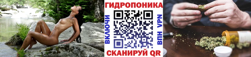 Шишки марихуана гибрид  Купить закладки  Красноармейск 